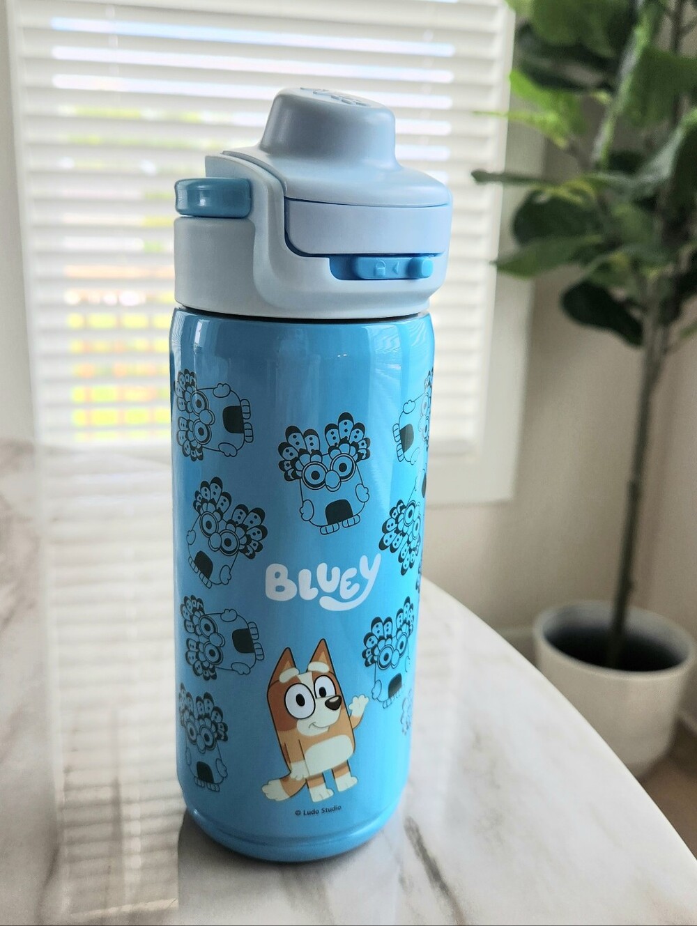 Bluey Stainless Insulated Water Bottle - Blue